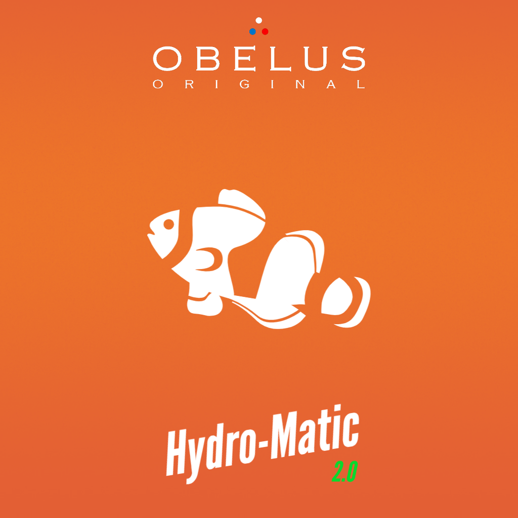 Hydro-matic #2 "The Clown-fish"