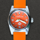 Hydromatic "The Clown-fish"
